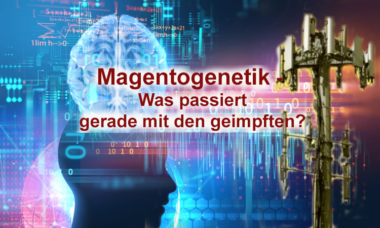 magentogenetik-titelbild.png
